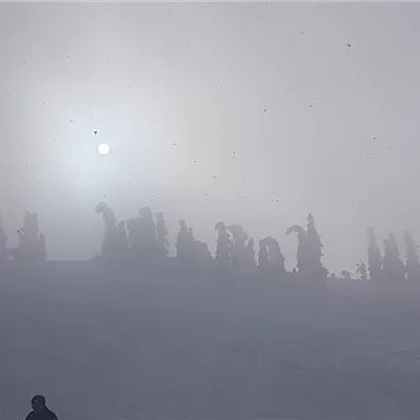 Eine neblige Winterlandschaft mit schneebedeckten Bäumen und einer strahlenden Sonne im Hintergrund. Die Atmosphäre ist ruhig und mystisch.