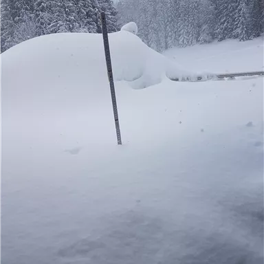 Eine verschneite Landschaft mit einer dicken Schneedecke. Im Hintergrund sind Bäume zu sehen, während ein Schneehügel im Vordergrund dominiert.