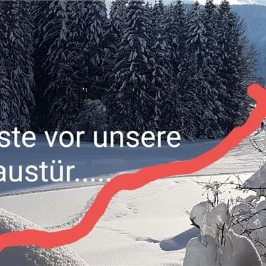 Eine verschneite Landschaft mit Tannenbäumen im Hintergrund. Eine Skipiste zieht sich direkt vor der Haustür entlang.