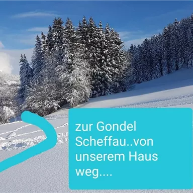 Eine verschneite Landschaft mit hohen, grünen Bäumen und einem klaren blauen Himmel. Ein Weg führt zur Gondel in Scheffau.