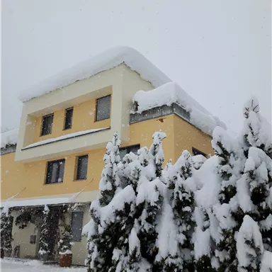 Ein großes Gebäude, das von einer dicken Schicht Schnee bedeckt ist. Im Vordergrund sind schneebedeckte Bäume zu sehen.