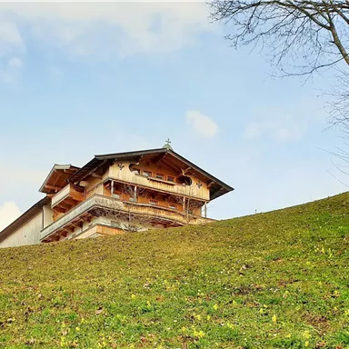 A beautiful, traditional house on a hill, surrounded by green meadow. The sky is clear and blue.