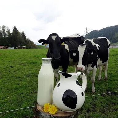 Two cows are standing on a green meadow, while fresh milk is ready in a glass and a decorative jug. In the background, gentle hills and trees can be seen.