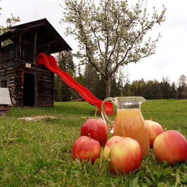 A wooden playground with a slide and an apple tree in the background. In the foreground, there is a pitcher of juice and several apples on the grass.