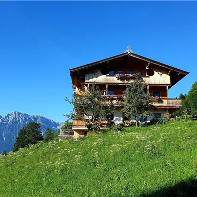 A charming alpine house surrounded by green meadows and mountains in the background. The clear blue sky gives the landscape a peaceful atmosphere.