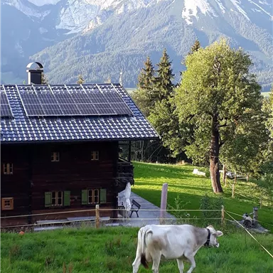 Ein traditionelles Haus in den Alpen mit einem solarbetriebenen Dach. Eine Kuh weidet auf der grünen Wiese vor der malerischen Bergkulisse.