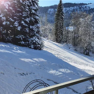 Eine verschneite Landschaft mit hohen Tannenbäumen und glitzerndem Schnee. Im Hintergrund sind die schneebedeckten Berge zu sehen.