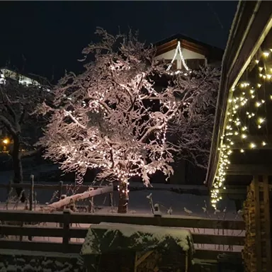 A snowy garden at night with a illuminated tree. In the foreground, there are fairy lights and a woodpile.
