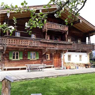 Ein traditionelles Holzhaus mit Balkonen und bunten Fenstern. Der blühende Baum und der grüne Rasen verleihen der Szenerie eine einladende Atmosphäre.