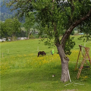 A green meadow with many flowers and a horse. In the background, there is a tree and a person working in the meadow.