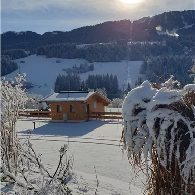 Ein charmantes Holzhaus steht in einer verschneiten Landschaft. Die Sonne scheint über den schneebedeckten Hügeln.