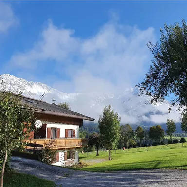 A cozy house with wood paneling is situated in a green meadow. In the background, majestic mountains and a clear sky can be seen.