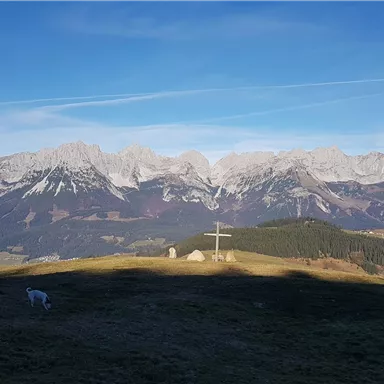 Eine beeindruckende Berglandschaft mit schneebedeckten Gipfeln und einer klaren blauen Himmel. Im Vordergrund ist eine Wiese mit einem weißen Tier zu sehen.