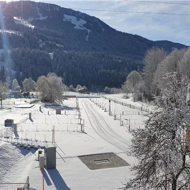 Eine winterliche Landschaft mit frisch gefallenem Schnee. Ein Berg im Hintergrund und sonnige Himmel ergänzen die ruhige Atmosphäre.