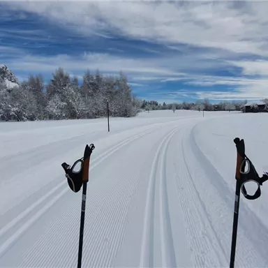 A snow-covered landscape with cross-country skiing tracks leading through the winter scenery. In the background, snow-covered trees and mountains can be seen.