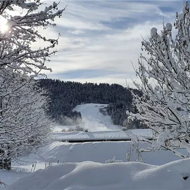 A snowy winter landscape with snow-covered trees. The sun is shining and the sky is clear.