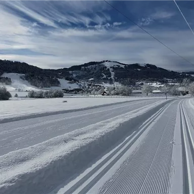 A snowy landscape with paved paths. In the background, gentle hills and a blue sky are visible.