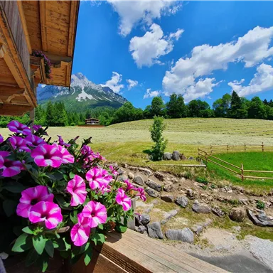 A picturesque landscape with colorful flowers on a terrace. In the background, green meadows and mountains can be seen under a clear blue sky.