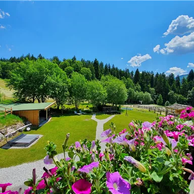 A quiet garden with colorful flowers and green grass. In the background, there are trees and a clear blue sky.