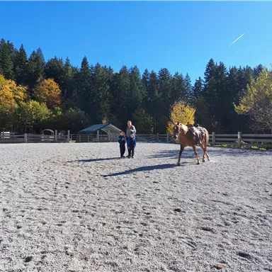 A riding arena with two people leading a horse. In the background, there are colorful trees and a blue sky visible.
