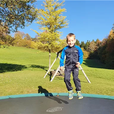 A boy joyfully jumps on a trampoline in a green garden. The sky is blue and the trees display autumn colors.