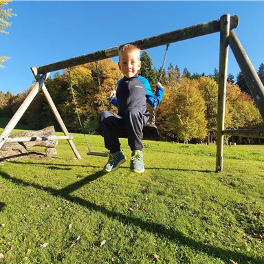 A boy is happily swinging on a swing outdoors. In the background, green meadows and colorful trees can be seen.
