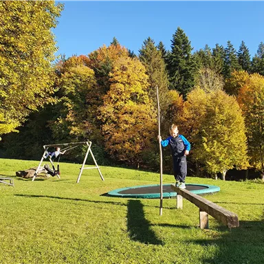 A child is playing on a trampoline and balancing on a wooden log. In the background, autumn trees and a swing can be seen.