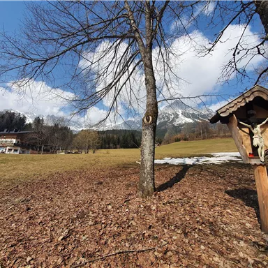 A quiet, rural landscape with an old birdhouse and bare trees. In the background, snow-covered mountains and meadows can be seen.