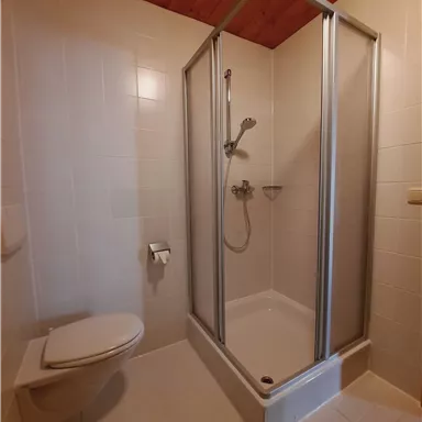 A modern bathroom with a shower cabinet and a toilet. The walls are light tiled and the ceiling is made of wood.