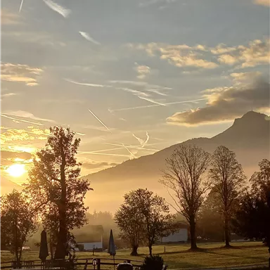 A beautiful sunrise over a hilly landscape with trees. The sky is clear, and there are gentle clouds.