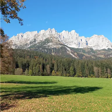 An impressive mountain landscape with high, rocky peaks. In the foreground, a green meadow stretches under a clear blue sky.