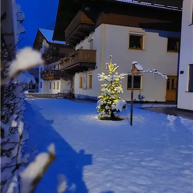 A snowy courtyard with a illuminated Christmas tree. In the background, several houses are visible under a blue sky.