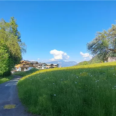 A picturesque landscape with a path surrounded by green meadows and trees. In the background, small houses and a blue sky with some clouds can be seen.