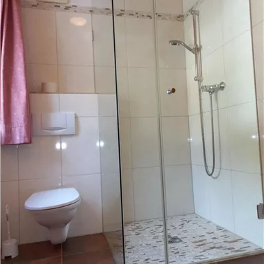 A modern bathroom with a glass shower and a toilet. The walls are brightly tiled, and a pink curtain complements the decor.
