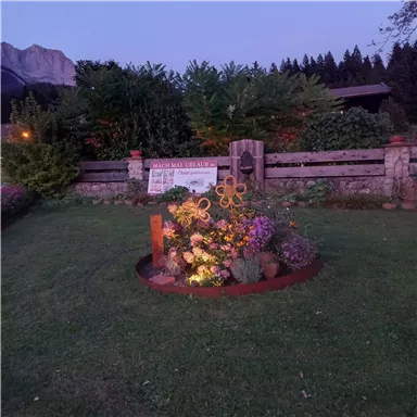 A beautiful garden with colorful flowers and illuminated decoration. In the background, trees and a wooden fence can be seen.