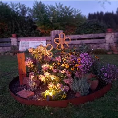 A colorful flower bed with various plants and a decorative wooden flower. The bed is illuminated in warm light and is located in a well-maintained garden.