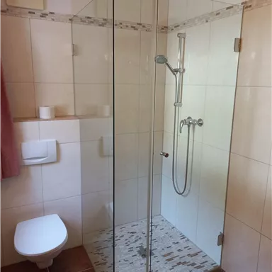 A modern bathroom with a glass shower and a white toilet. The walls are light tiled and the floor has a warm tone.