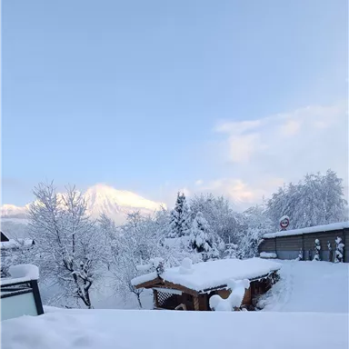 A snowy winter landscape with snow-covered trees and a clear blue sky. In the foreground, a small cabin is visible.