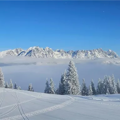 A winter mountain landscape with snow-covered trees and clear blue sky. In the background, majestic mountains can be seen.