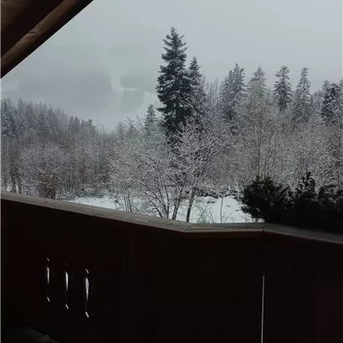 A snowy landscape with tall fir trees and a gray sky. In the foreground, a wooden balcony is visible.