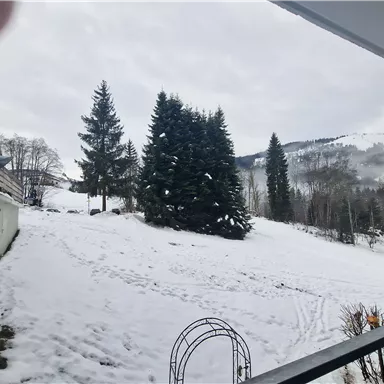 Eine verschneite Landschaft mit hohen Tannenbäumen. Der Himmel ist wolkig und es wirkt winterlich.