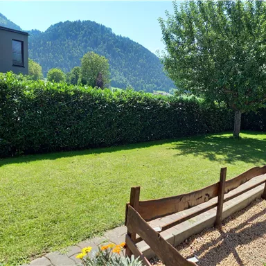 A well-maintained garden with green grass and a wooden fence. In the background, mountains and a bright blue sky can be seen.