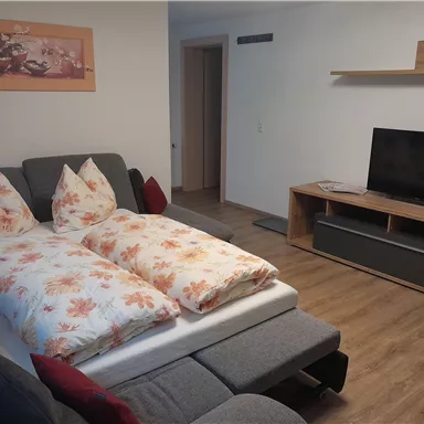 A cozy living room with a sleeper sofa and colorful cushions. A TV is placed on a wooden shelf opposite the couch.