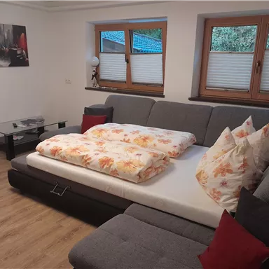 A cozy living room with a sofa bed and colorful cushions. Large windows provide plenty of daylight.