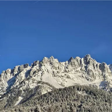 A majestic mountain panorama with snow-covered peaks under a clear blue sky. In the foreground stands a tree that is also covered in snow.