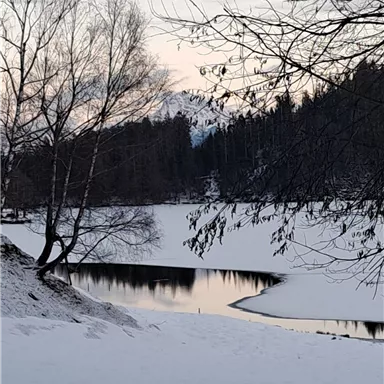 A snow-covered landscape with a calm river and bare trees. In the background, gentle hills and a cloudy sky can be seen.
