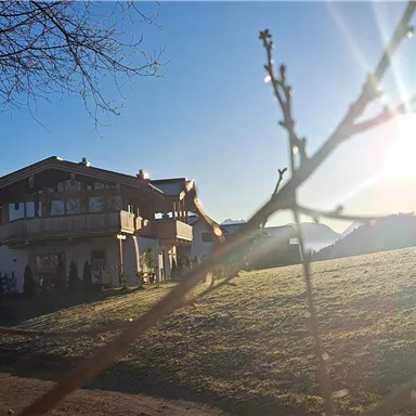 An old house stands in a sunny field with mountains in the background. The sun shines through the trees, creating a lively atmosphere.