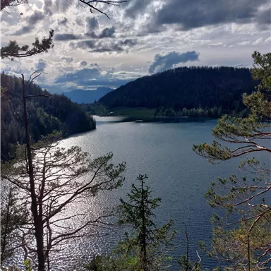 Ein schöner Blick auf einen ruhigen See, umgeben von grünen Hügeln und Bäumen. Der Himmel ist bewölkt, und das Licht spiegelt sich im Wasser.