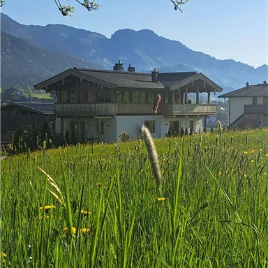 A beautiful house in a green meadow with mountains in the background. The sky is clear and sunny.