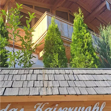 A cozy wooden house with a greened balcony. The clear sky and the plants give the place an inviting atmosphere.